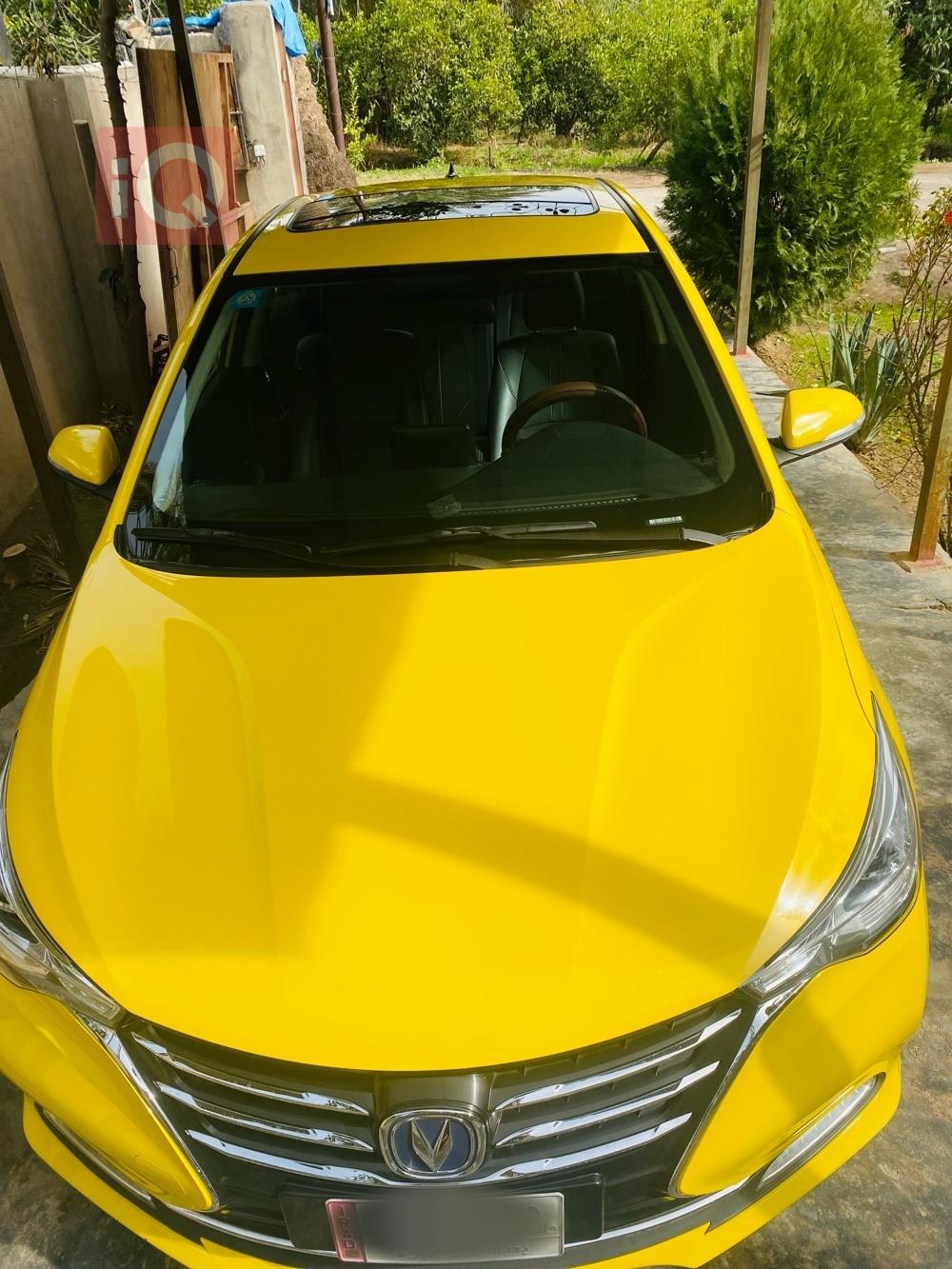 شانجان السفن